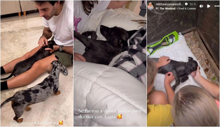 Anita, la nueva mascota de Nicole Neumann y sus hijas Anita, la nueva mascota de Nicole Neumann y sus hijas
