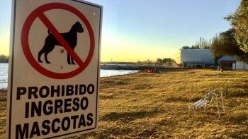 Mari Menuco perros.jpg