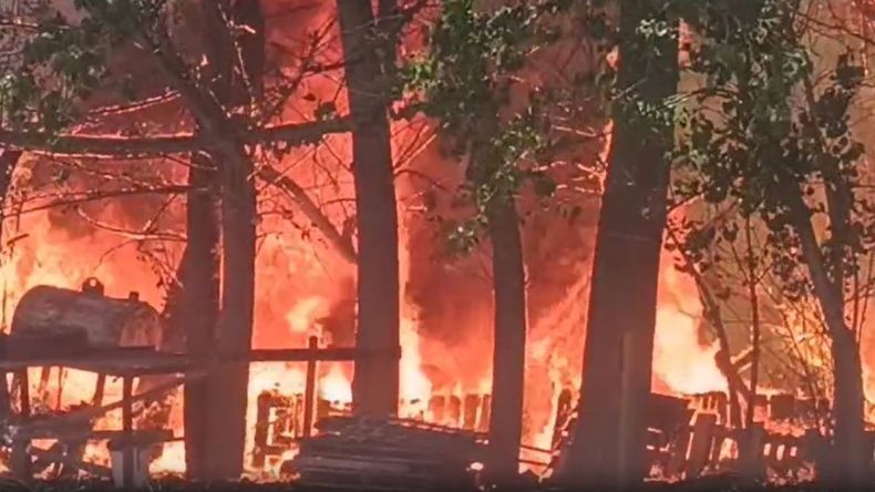 Se descontroló un incendio que arrasa con un sector chacras en Rincón de los Sauces | LM Neuquen Se descontroló un incendio que arrasa con un sector chacras en Rincón de los Sauces