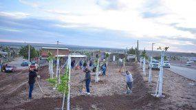 ¿Qué tomas se van a regularizar en Neuquén en 2022?
