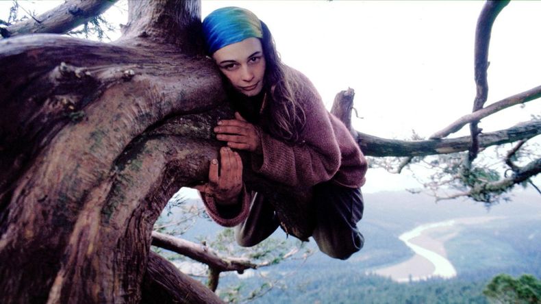 Una activista vivió arriba de un árbol por más de un año