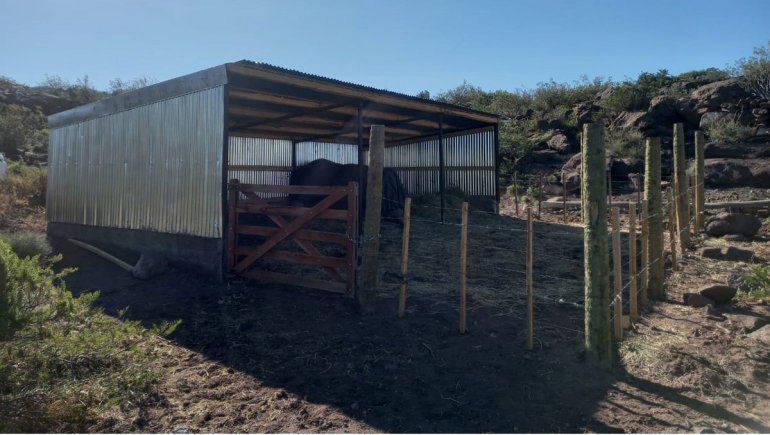 Construyen cobertizos para ayudar a los crianceros en la época de parición