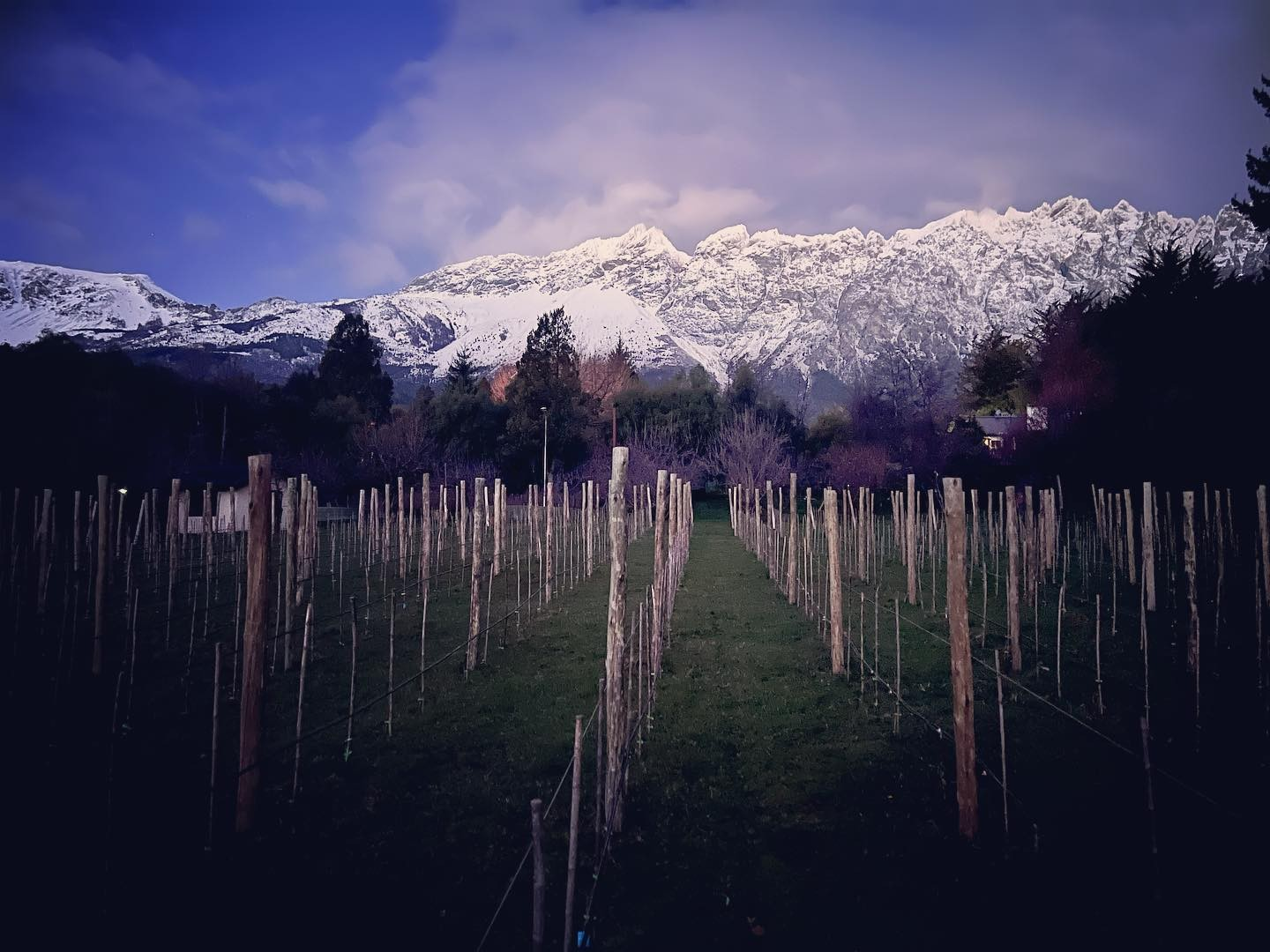 La frontera del vino se extiende y llega al pie del cerro de El Bolsón. Foto: @bodegadebernardi