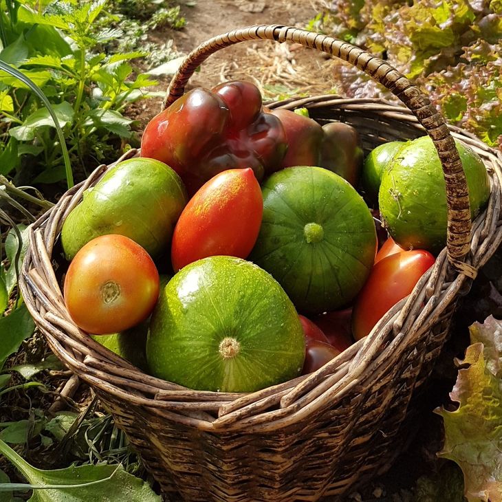 Los premios incluyeron 15 categorías de postulación y 9 menciones especiales. Los premios incluyeron 15 categorías de postulación y 9 menciones especiales.