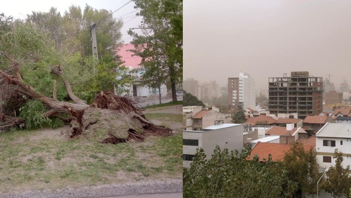 Alerta naranja: Las ráfagas superaron los 100 km/h y causaron destrozos 