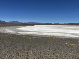 Formentera se perfila como uno de los proyectos de litio no desarrollados más prometedores del país. Formentera se perfila como uno de los proyectos de litio no desarrollados más prometedores del país.