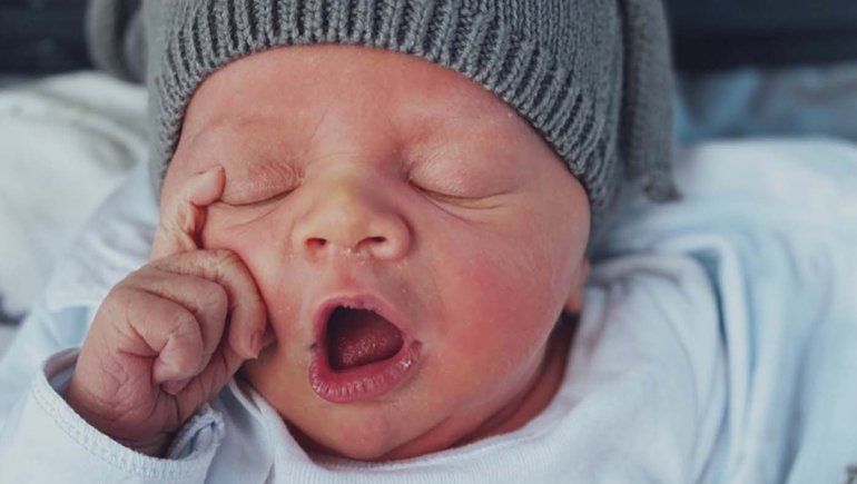 Viggo inspiró a Marley: ¿viene el hermano de Mirko?