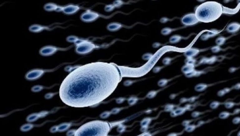 Intentan frenar a un donante de semen con más de 550 hijos