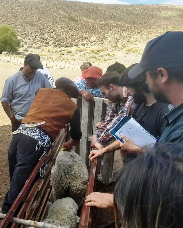 Matías Lienan pertenece a la Comunidad Mapuche Namuncurá. Matías Lienan pertenece a la Comunidad Mapuche Namuncurá.