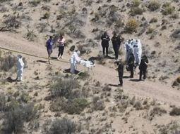 Horror en Santa Cruz por la aparición de restos humanos en un descampado. Horror en Santa Cruz por la aparición de restos humanos en un descampado.