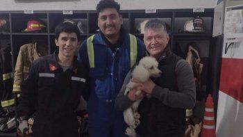 salvaron a un perro bomberos plaza huincul