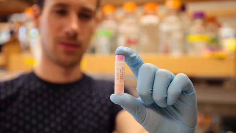 Un superanticuerpo controlaría a todas las variantes del COVID