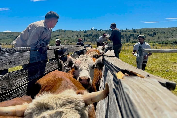 Un enfoque integral que combina técnica, planificación y respeto por el ambiente. Un enfoque integral que combina técnica, planificación y respeto por el ambiente.