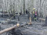 El incendio ocurrió a pocos metros de la casa del guardaparques que intervino en la clausura del camping del lago Falkner