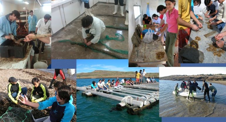 Las distintas actividades de los alumnos de la escuela de Chubut que forma expertos en recursos del mar. Las distintas actividades de los alumnos de la escuela de Chubut que forma expertos en recursos del mar.