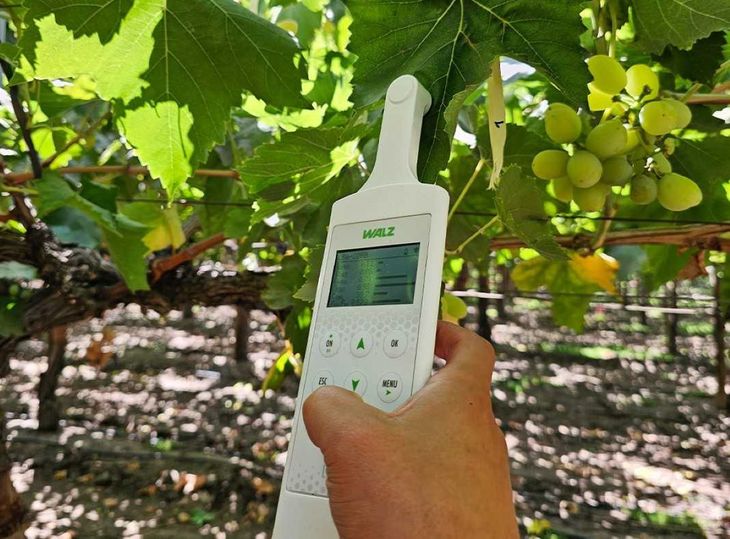 El proyecto utiliza sensores de humedad del suelo y estaciones meteorológicas para aplicar solo el agua que la planta necesita, reduciendo el consumo en casi 50%.