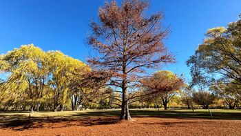 El pueblo rionegrino que figura en el top 7 de los más lindos del país, según Guido Rodríguez, de un total de 150. El pueblo rionegrino que figura en el top 7 de los más lindos del país, según Guido Rodríguez, de un total de 150.