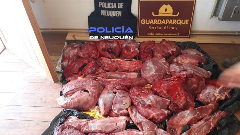 Secuestran dos armas y 100 kilos de carne de caza furtiva