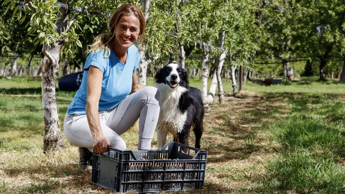 Cambi la oficina por La Chacra para producir almendras y nueces