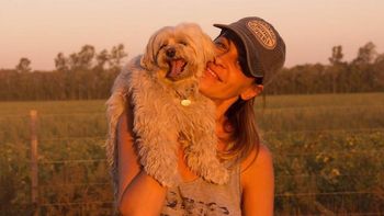 eugenia tobal compartio las primeras imagenes del proceso de recuperacion de su perro y enternecio a todos eugenia tobal compartio las primeras imagenes del proceso de recuperacion de su perro y enternecio a todos