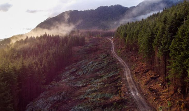 Cedar LNG seleccionó recientemente a Ledcor Haisla Limited Partnership (LHLP) para los trabajos del gasoducto para el Proyecto Cedar LNG. Cedar LNG seleccionó recientemente a Ledcor Haisla Limited Partnership (LHLP) para los trabajos del gasoducto para el Proyecto Cedar LNG.