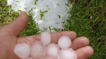 la cosecha de cereza se podria reducir un 50% luego de la tormenta de granizo la cosecha de cereza se podria reducir un 50% luego de la tormenta de granizo