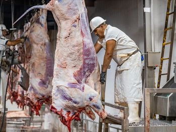 La falta de ganado y el aumento de costos fijos ponen en jaque a los frigoríficos. La caída de la faena ya impacta en el empleo. La falta de ganado y el aumento de costos fijos ponen en jaque a los frigoríficos. La caída de la faena ya impacta en el empleo.