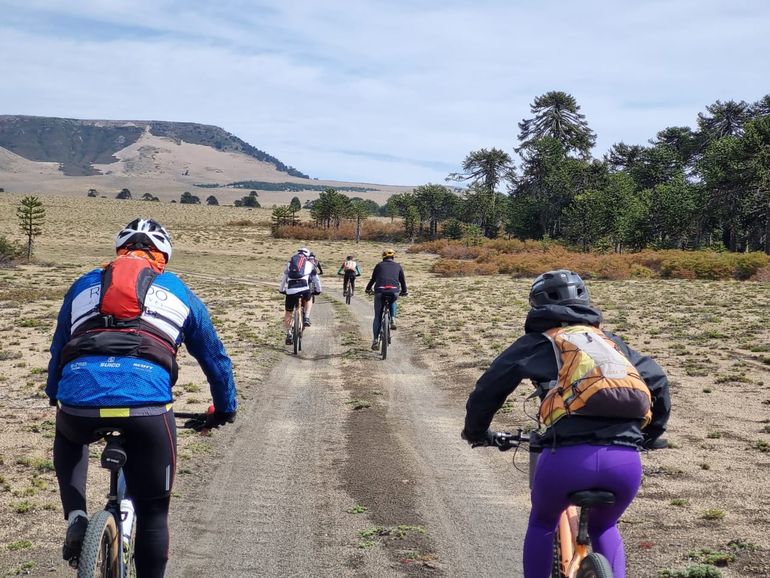 En Villa Pehuenia y Moquehue se ofrecen recorridos en montan bike. En Villa Pehuenia y Moquehue se ofrecen recorridos en montan bike.