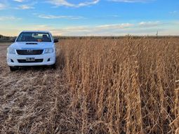 Es un establecimiento ligado a la Asociación Argentina de Productores en Siembra Directa (Aapresid). Es un establecimiento ligado a la Asociación Argentina de Productores en Siembra Directa (Aapresid).