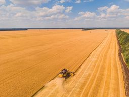 El sector agropecuario comparte protagonismo con complejos que antes tenían un peso mucho menor. El sector agropecuario comparte protagonismo con complejos que antes tenían un peso mucho menor.