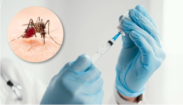 Anmat analiza una vacuna japonesa contra el Dengue
