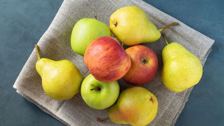 La cosecha de manzana creció en esta temporada 13%.