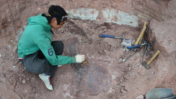 Nuevo dino neuquino devela el origen de los gigantes de cuello largo