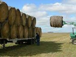 La jornada fue organizada de forma conjunta por las provincias de Neuquén, Río Negro y La Pampa. La jornada fue organizada de forma conjunta por las provincias de Neuquén, Río Negro y La Pampa.
