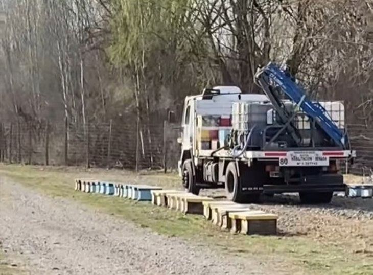 “La polinización es clave para lograr mejores rindes y calidad de fruta”, dicen. “La polinización es clave para lograr mejores rindes y calidad de fruta”, dicen.