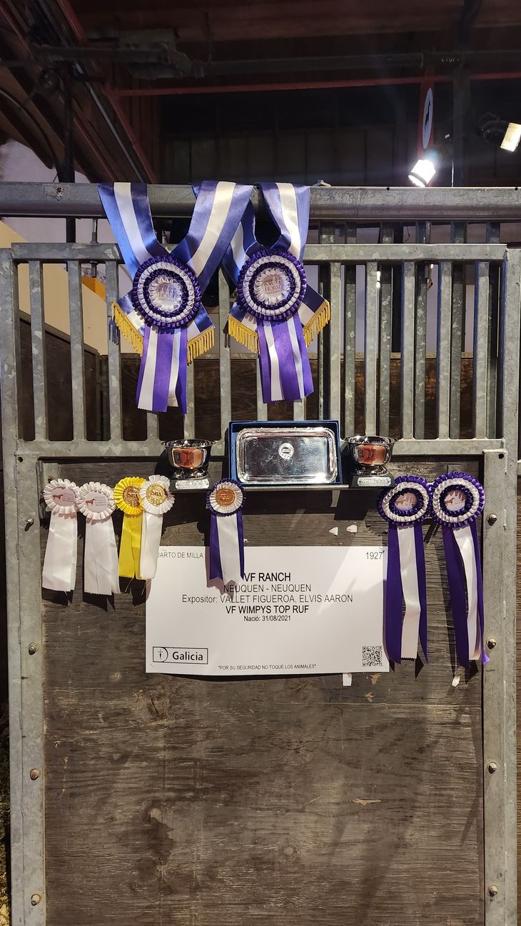 Los premios conseguidos en Palermo. Foto: gentileza Elvis Vallet. Los premios conseguidos en Palermo. Foto: gentileza Elvis Vallet.