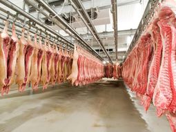 El nuevo aval sanitario podría impulsar los embarques de carne porcina brasileña y facilitar el ingreso a nichos premium de uno de los mayores consumidores del mundo. El nuevo aval sanitario podría impulsar los embarques de carne porcina brasileña y facilitar el ingreso a nichos premium de uno de los mayores consumidores del mundo.