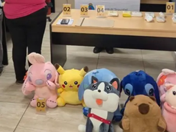 una mujer llevaba mas de dos kilos de cocaina escondidos dentro de osos de peluche una mujer llevaba mas de dos kilos de cocaina escondidos dentro de osos de peluche