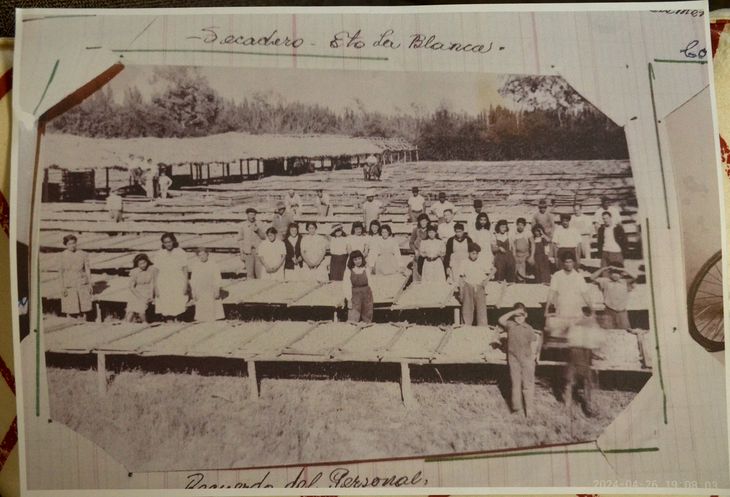 "La Blanca" fue el coraz&oacute;n productivo de Fern&aacute;ndez Oro: bodega, secadero de frutas, apicultura y cultivo de alfalfa bajo un mismo techo productivo.