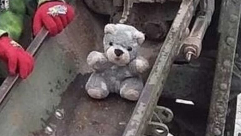 Teddy