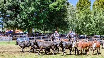 Autoridades y la SRN analizan en Junín de los Andes el relanzamiento del Plan Ganadero provincial. Foto: Leo Casanova, SRN | LM Neuquen Autoridades y la SRN analizan en Junín de los Andes el relanzamiento del Plan Ganadero provincial. Foto: Leo Casanova, SRN