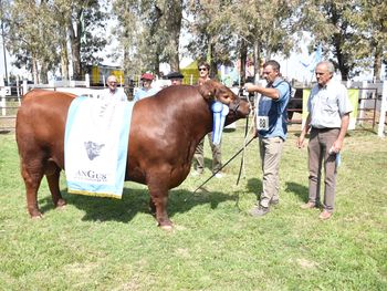 Muy buena genética fue presentada este fin de semana en General Conesa.