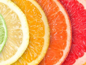 La industria sudafricana desplazó a España del primer puesto tras un año marcado por récords de exportación y una creciente demanda internacional de fruta fresca.