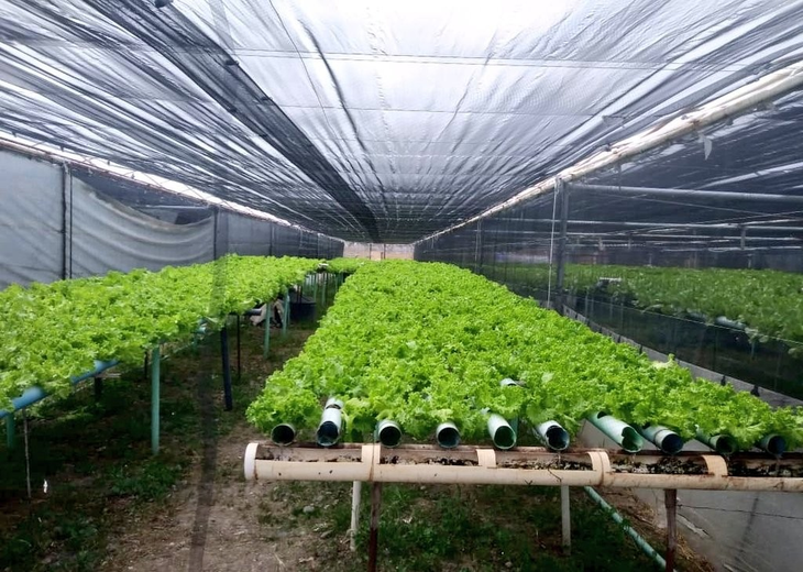 Es la escuela más grande de Neuquén. Foto: gentileza. Es la escuela más grande de Neuquén. Foto: gentileza.