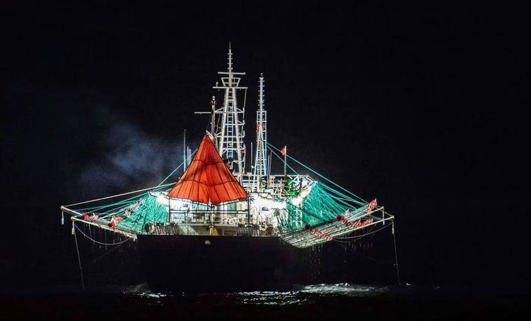Video: así depredan el mar argentino los pesqueros chinos