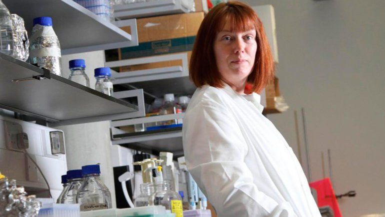 Científica revela que más enfermedades saltarán de animales a humanos