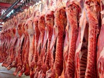 Dato positivo: vuelve a crecer la faena de animales.