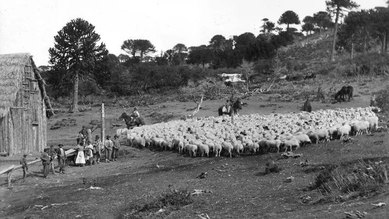 El rancho de la familia Fix donde ocurrió la masacre de Zainuco. El rancho de la familia Fix donde ocurrió la masacre de Zainuco.
