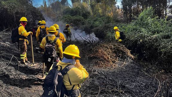 Brigadistas del Parque Nacional Lanín en un incendio forestal en Neuquén. (Foto: Archivo)