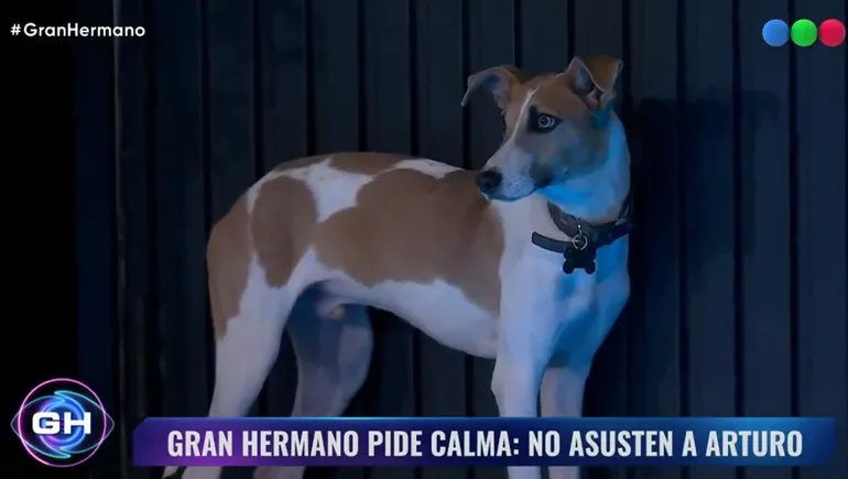 Arturo, el nuevo integrante de Gran Hermano. Arturo, el nuevo integrante de Gran Hermano.